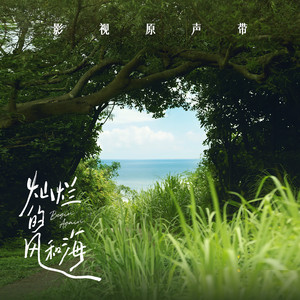 火影忍者雷影和纲手生猴子
