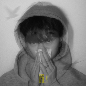 火影忍者雷影和纲手生猴子
